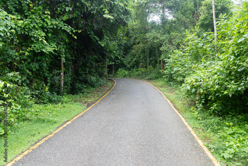 Road in rainforest national park in Thailand. Road in rainforest national park in Thailand.