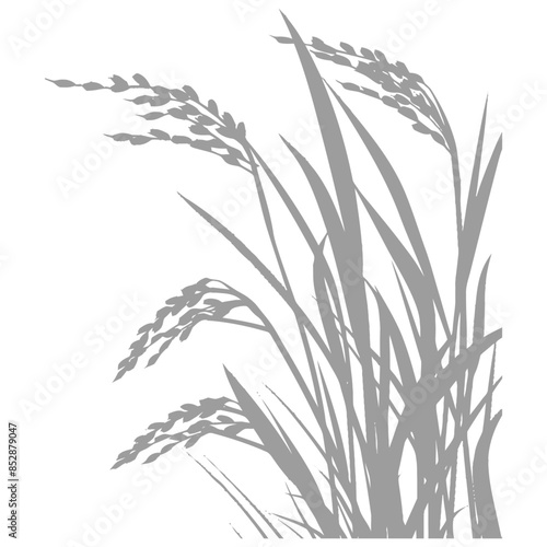 Gray Rice Stalk Silhouette: Simple Asian Crop Illustration, Grain Harvest Graphic.