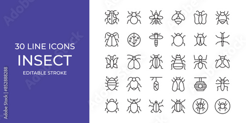 insect icon illustration stock editable stroke. bugs, spider, ant and more