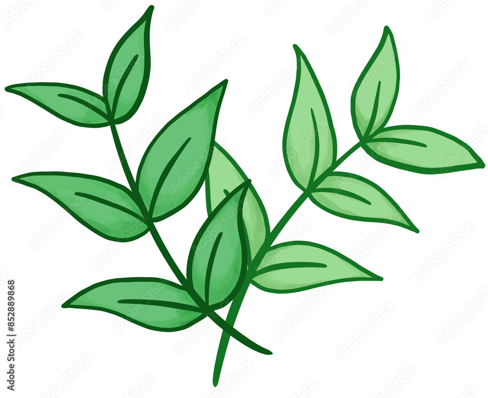 Fototapeta premium leaf illustration Nature is used to decorate pieces.