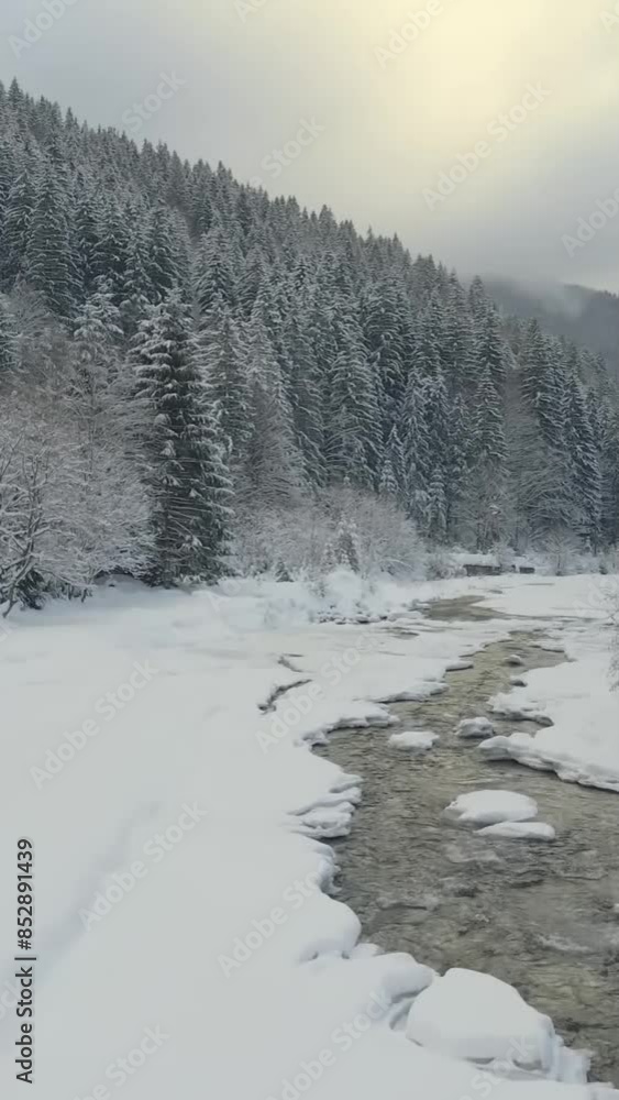 Fantastic view of beautiful snow forrest during winter Fantastic view of beautiful snow forrest during winter
