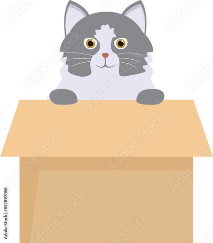 Cute cat is having fun playing inside a cardboard box