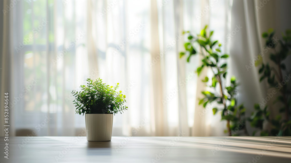 A white vase with green leaves sits on a table in front of a window. The sunlight shining through the window casts a warm glow on the vase and the table. Concept of calm and tranquility A white vase with green leaves sits on a table in front of a window. The sunlight shining through the window casts a warm glow on the vase and the table. Concept of calm and tranquility