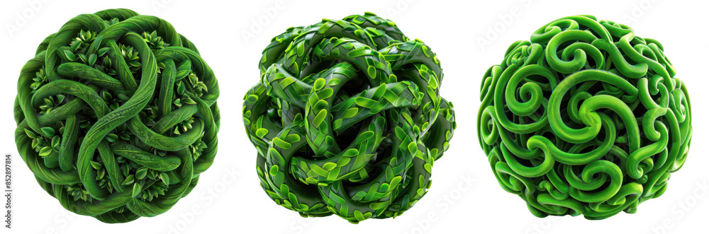 Fototapeta premium Green Spherical shapes intertwined with green vines and leaves, Nature's geometry on a transparent background.