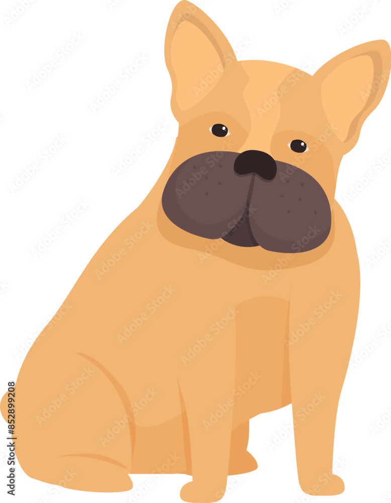 Adorable french bulldog is sitting and looking forward with curiosity Adorable french bulldog is sitting and looking forward with curiosity