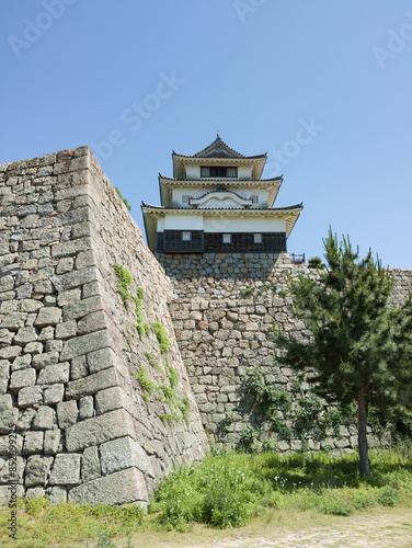 丸亀城 三の丸北側からの天守