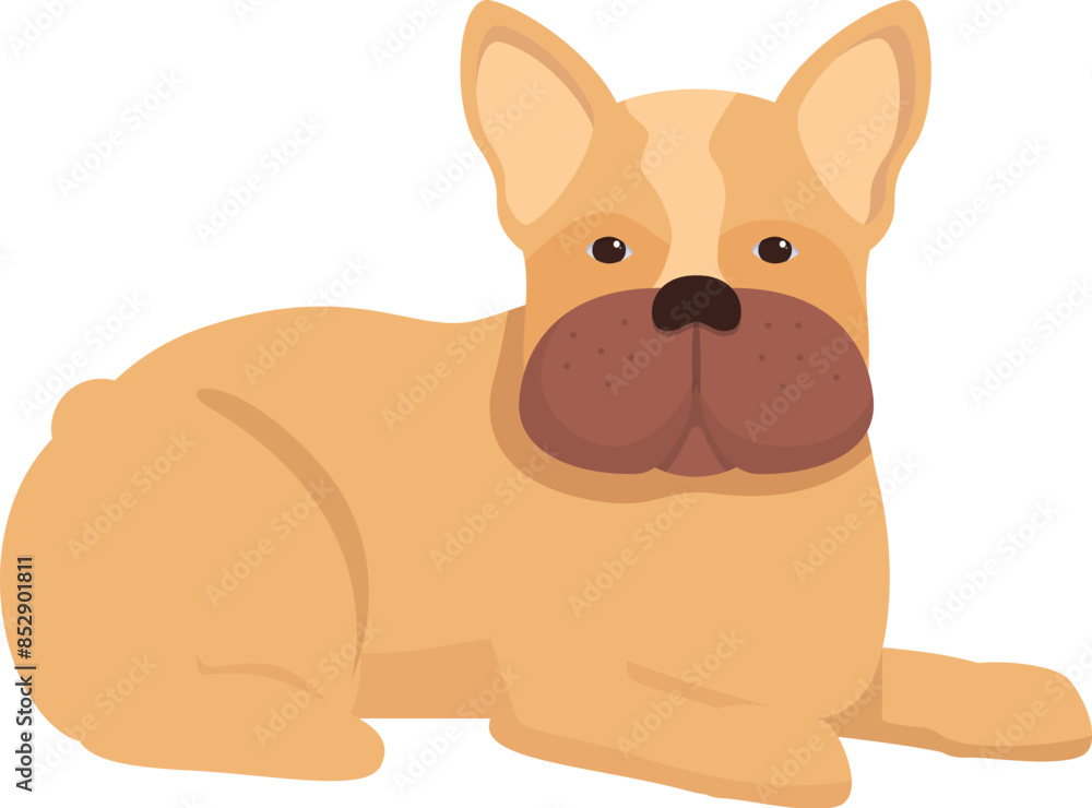 Adorable fawn french bulldog lying down and relaxing Adorable fawn french bulldog lying down and relaxing