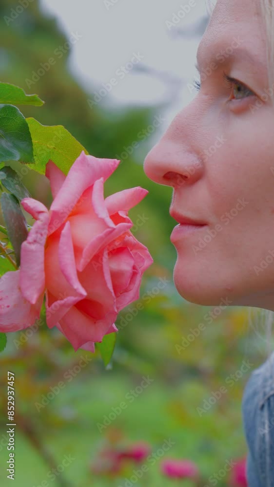 Woman sniffing big red rose on tree with closed eyes close-up ...
