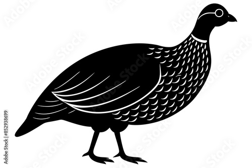 Guinea Fowl animal vector, silhouette black color, vector illustration
