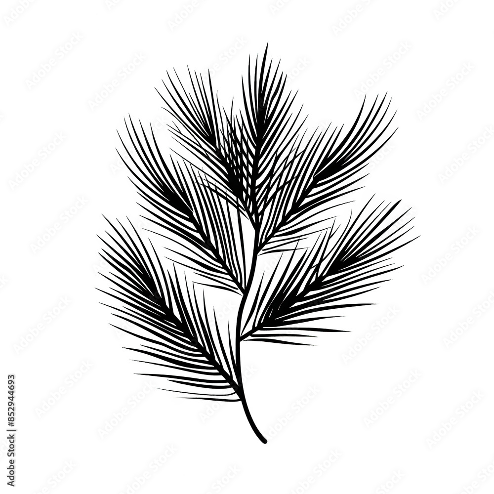 Intricate black and white botanical line art illustration of a delicate fern leaf with detailed patterns and textures. Intricate black and white botanical line art illustration of a delicate fern leaf with detailed patterns and textures.