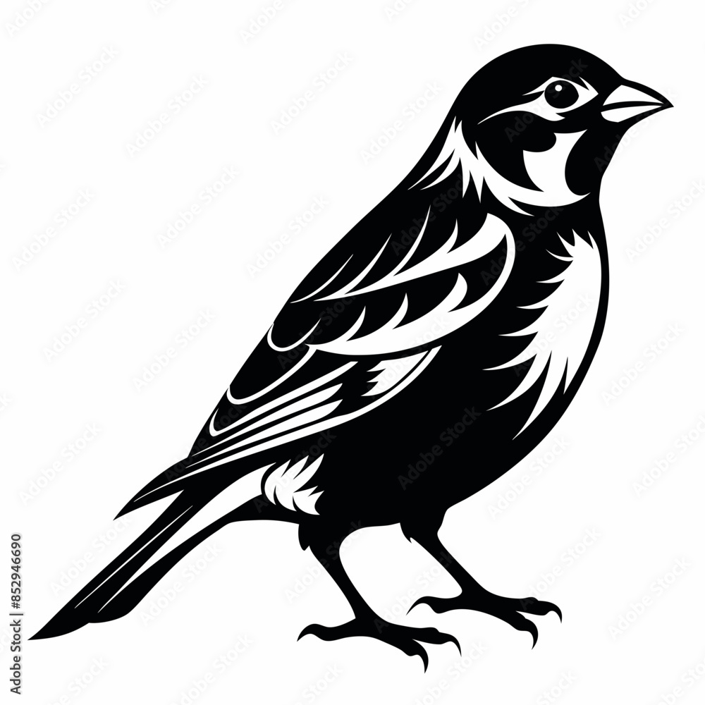 Vector illustration of a sparrow Vector illustration of a sparrow