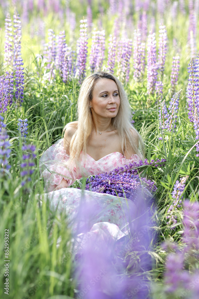 Beautiful girl with blond hair and a long pink dress in the summer in a field of blooming purple lupine flowers with a bouquet in her hands Beautiful girl with blond hair and a long pink dress in the summer in a field of blooming purple lupine flowers with a bouquet in her hands