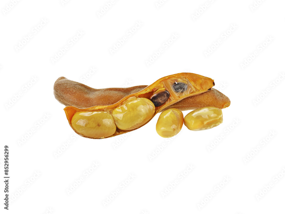 Fototapeta premium mucuna pruriens or velvet bean transparent png