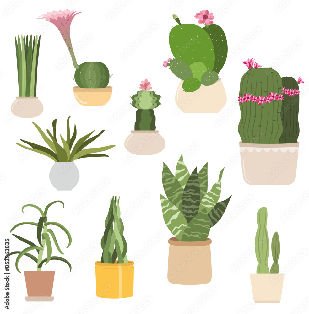 Vector set of bright cacti, aloe and leaves. Collection of exotic plants. Decorative natural elements are isolated on white. Cactus with flowers. Vector set of bright cacti, aloe and leaves. Collection of exotic plants. Decorative natural elements are isolated on white. Cactus with flowers.