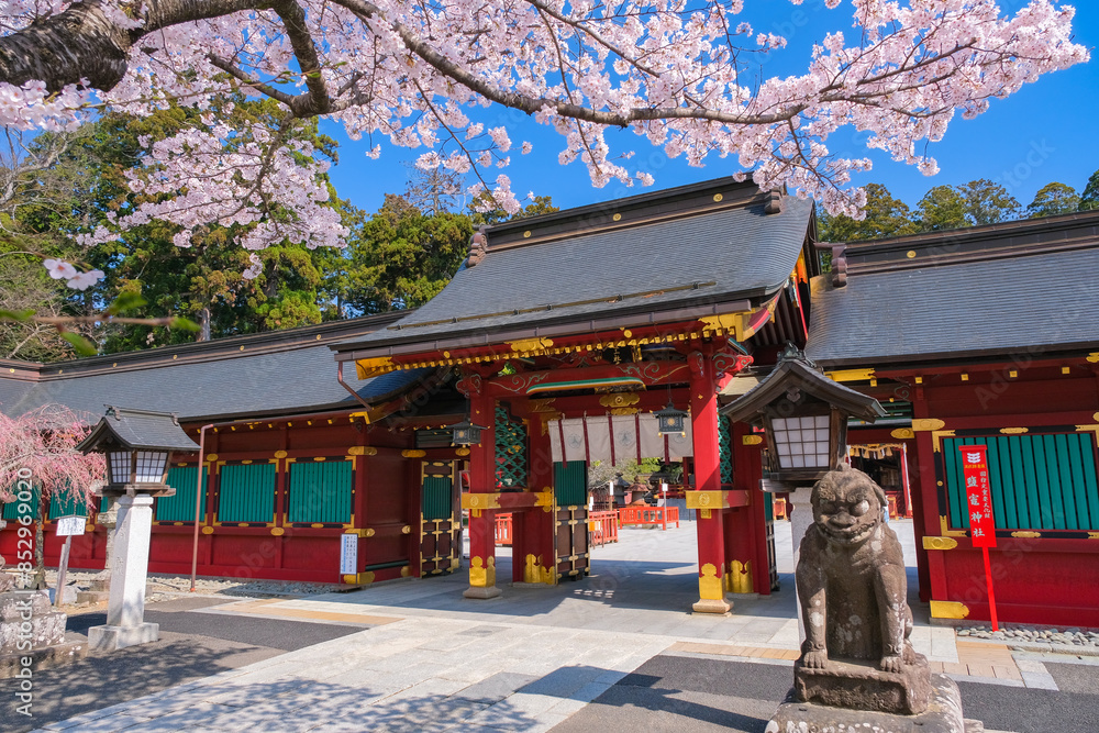 宮城県塩竈市 春の鹽竈神社 唐門