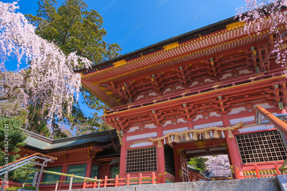 宮城県塩竈市 春の鹽竈神社 随身門