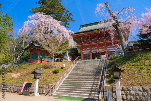 宮城県塩竈市 春の鹽竈神社 随身門 photo