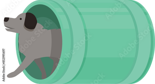 Grey dog is running through a green tunnel, participating in agility training