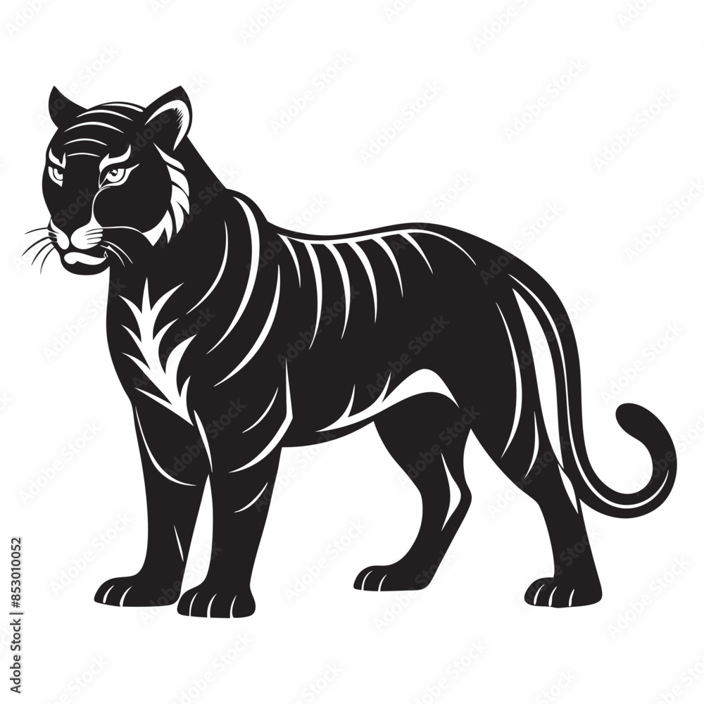 black and white tiger black and white tiger