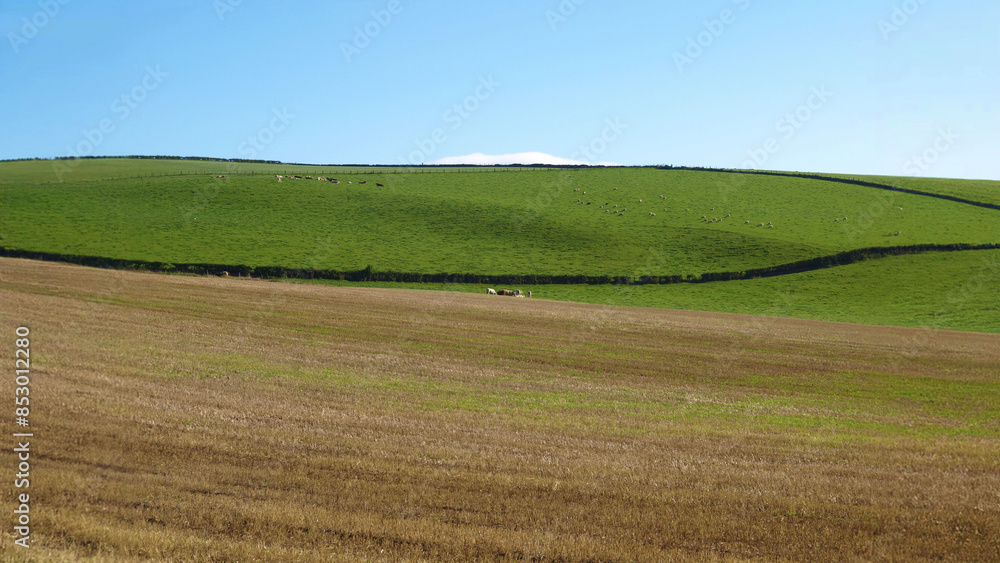 Obraz premium green hill blue sky background