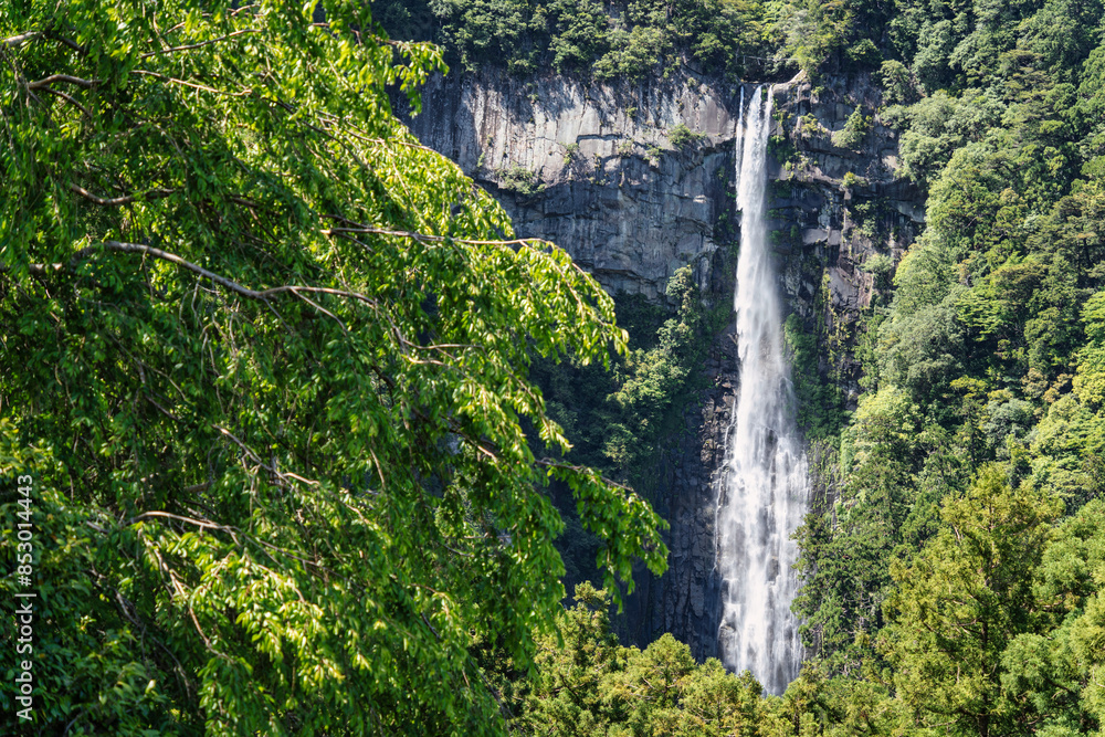 View with Nachi Waterfall located in Nachikatsuura, Wakayama, Japan View with Nachi Waterfall located in Nachikatsuura, Wakayama, Japan
