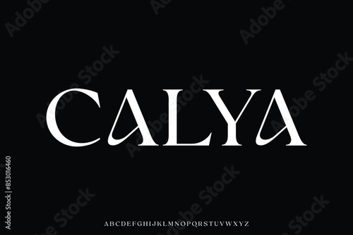Elegant beautiful serif alphabet display font vector. Feminine roman style typeface
