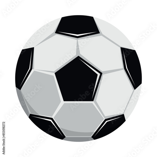leather soccer ball. Soccer balls or football ball. Vector illustration.