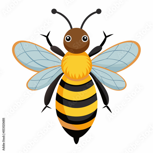 illustration of a honey bee