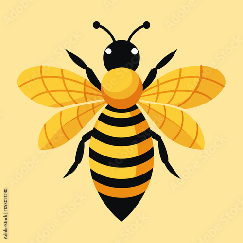 illustration of a honey bee