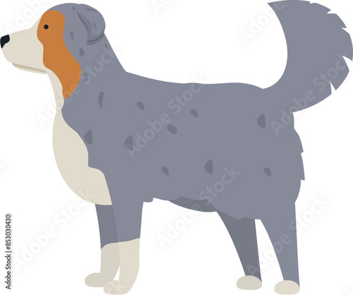 Cartoon australian shepherd dog standing on white background looking aside