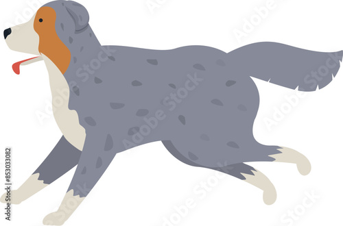 Happy australian shepherd dog running with tongue out, playful pet, purebred canine animal cartoon vector illustration