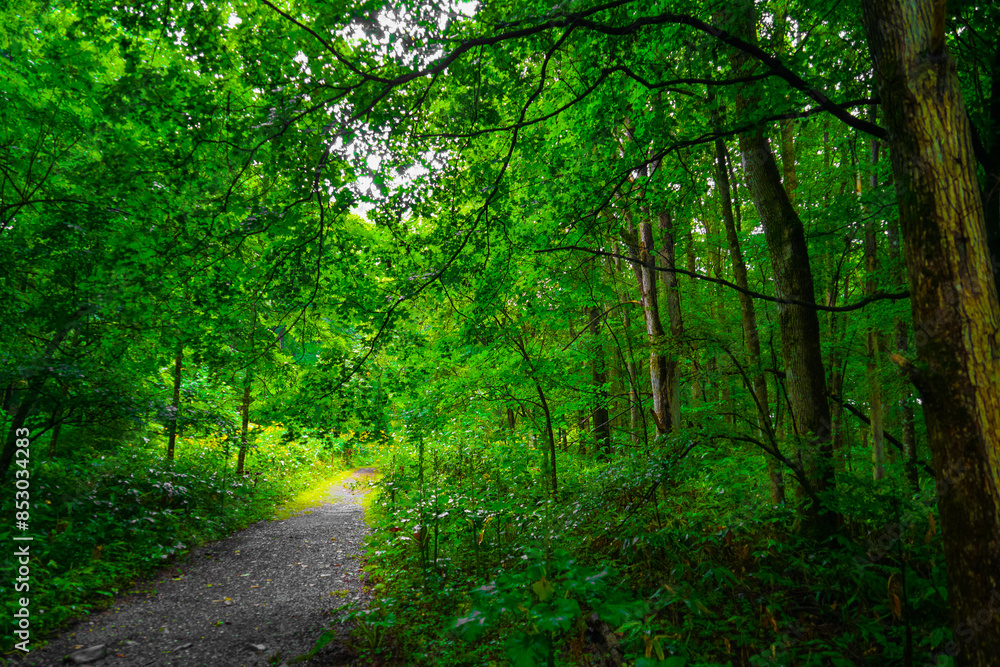 Fototapeta premium 都会の建物と夕暮れの空