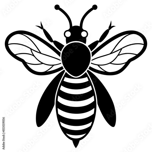 illustration of a honey bee