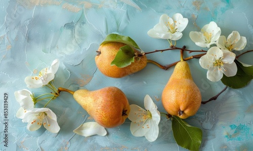 Anjou pears and pear flowers on a pastel blue background photo