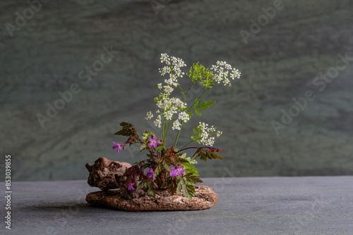 miniature composition of wildflowers using roots, moss, lichen, naturalistic style. photo