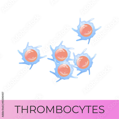 Thrombocytes, platelets. Isolated vector icon