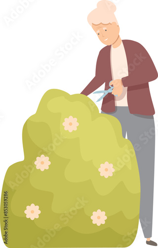 Gardener is trimming a bush with flowers using garden shears