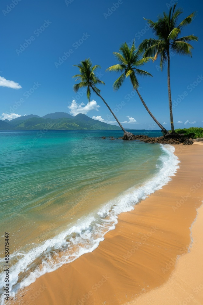 Palm Trees on a Tropical Beach: A picturesque view of tall palm trees swaying over a pristine, sandy beach with clear blue water in the background. Palm Trees on a Tropical Beach: A picturesque view of tall palm trees swaying over a pristine, sandy beach with clear blue water in the background.