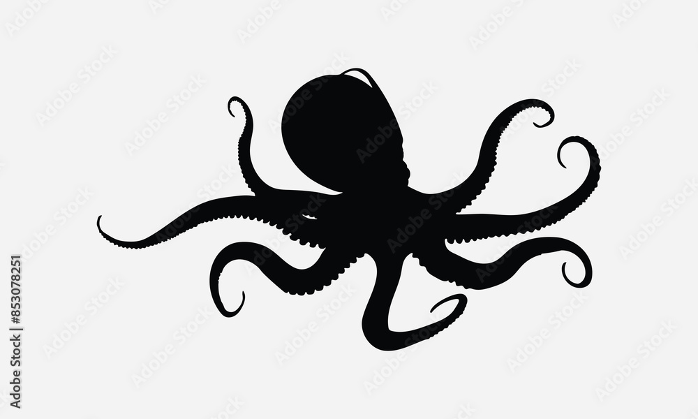 Fototapeta premium 03.. Octopus vector