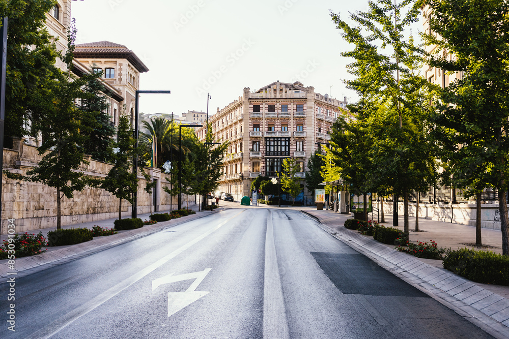 Fototapeta premium street in the city