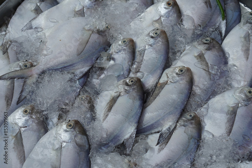 many sea fish placed in ice, stacked on top of each other, nature photo