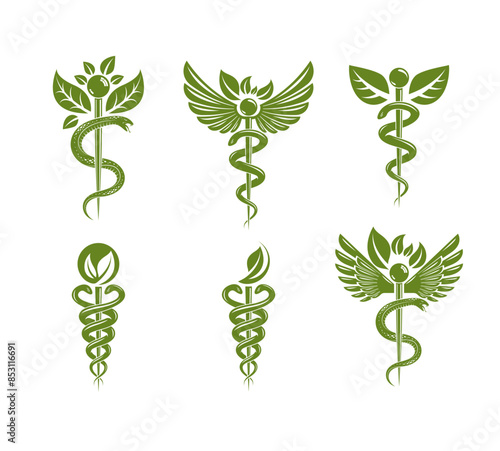 Collection of Caduceus illustrations composed with poisonous snakes and bird wings, healthcare conceptual vector illustrations. Alternative medicine theme.