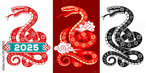 Set of snake drawings for Chinese New Year 2025. Silhouette, cartoon character with traditional floral pattern in oriental style. Vector illustration