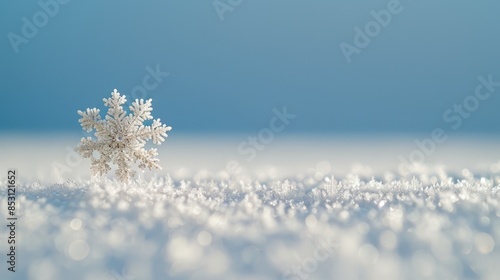  A snowflake sits in the midst of a snow-covered field Surrounding it are more snowflakes on the ground In the foreground, above the snowflakes, © Jevjenijs