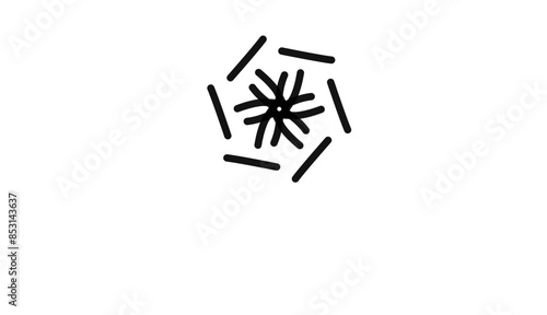 spider web icon