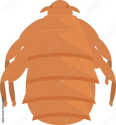 Louse is crawling, these insects are known for spreading infections through bites on the skin