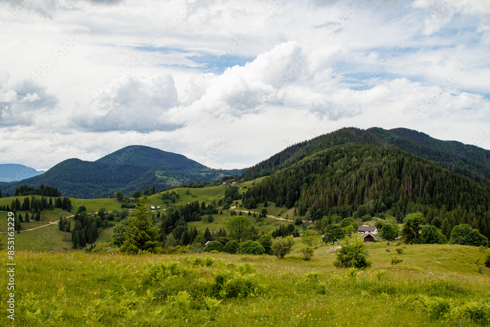 fields and meadows of Ukraine fields and meadows of Ukraine