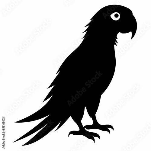 Parrot Illustration Vector Art 