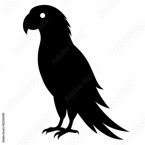 Parrot Illustration Vector Art 