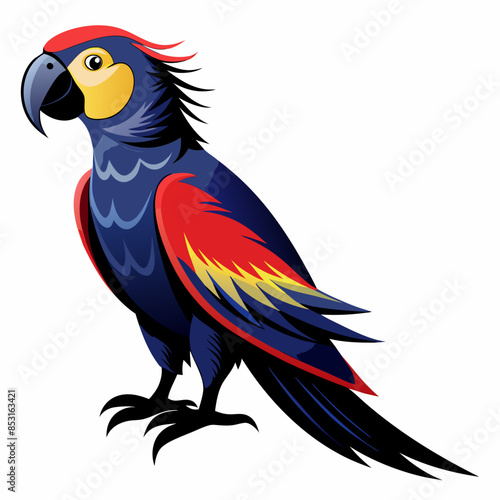 Parrot Illustration Vector Art 